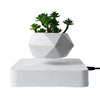 Maceta flotante para plantas, levitación magnética, color blanco