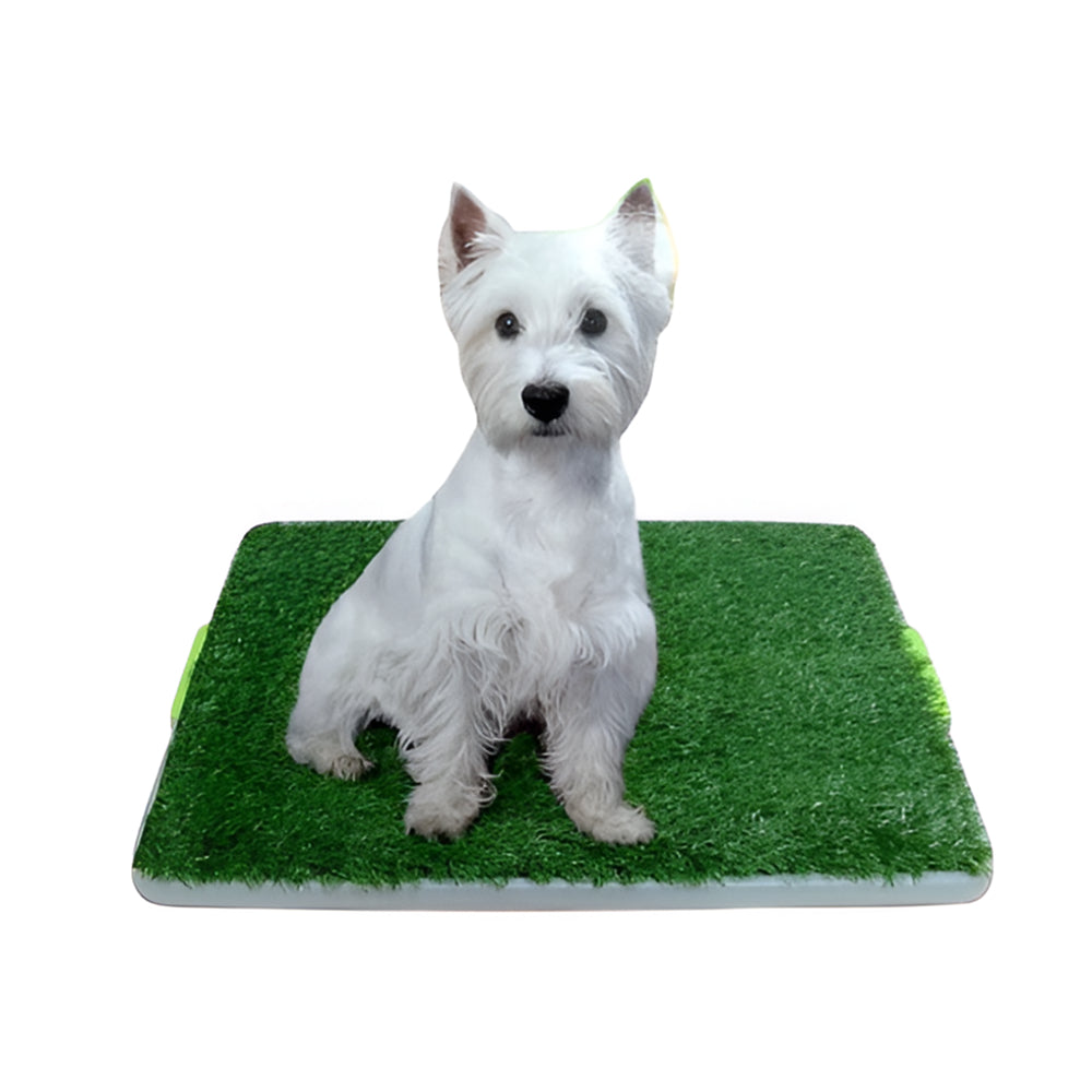 Baño para perros, pad de grama artificial para entrenamiento de perros